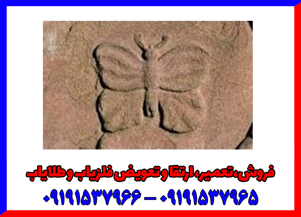 نماد پروانه در دفینه یابی