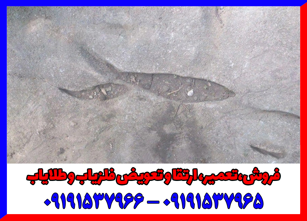 نشانه ماهی در گنج یابی