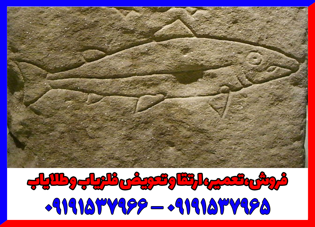 نشانه ماهی در گنج یابی