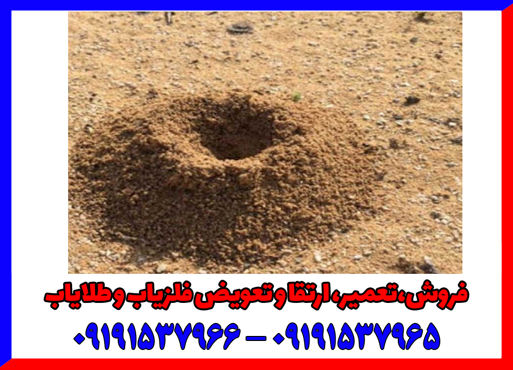 نقش مورچه در گنج یابی