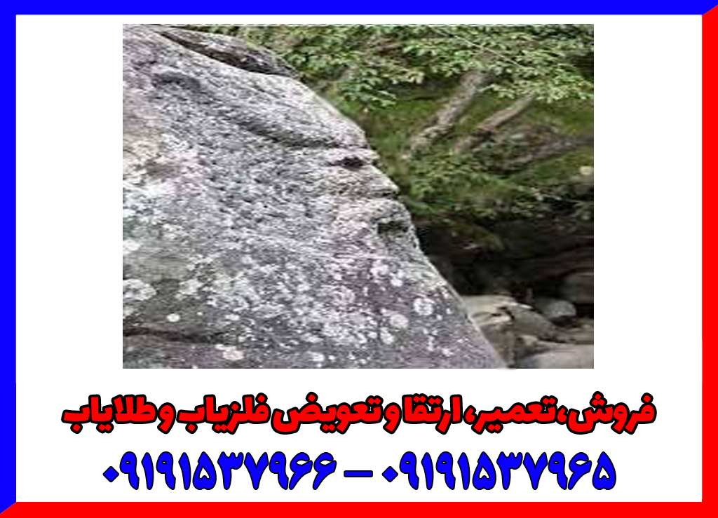 نماد رخ در دفینه یابی