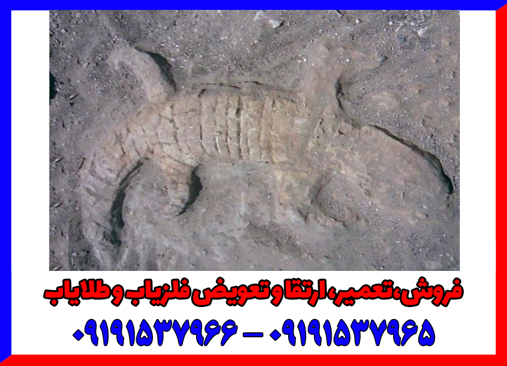 نماد تمساح در دفینه یابی