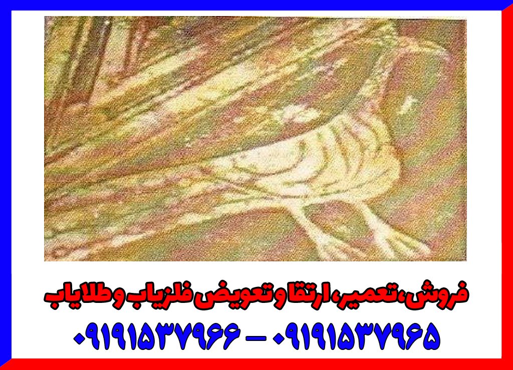 نشانه طاووس در گنج یابی