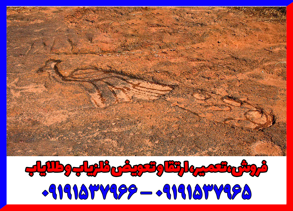 نشانه طاووس در گنج یابی