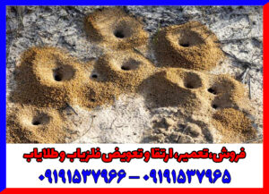 نقش مورچه در گنج یابی