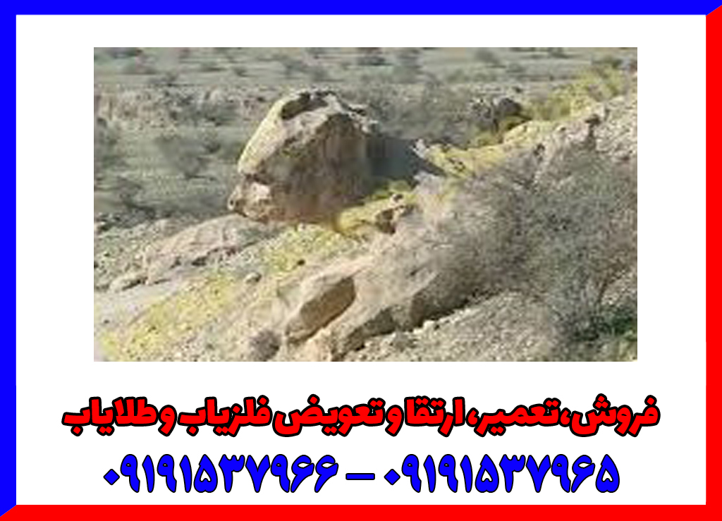 نماد پلنگ در دفینه یابی