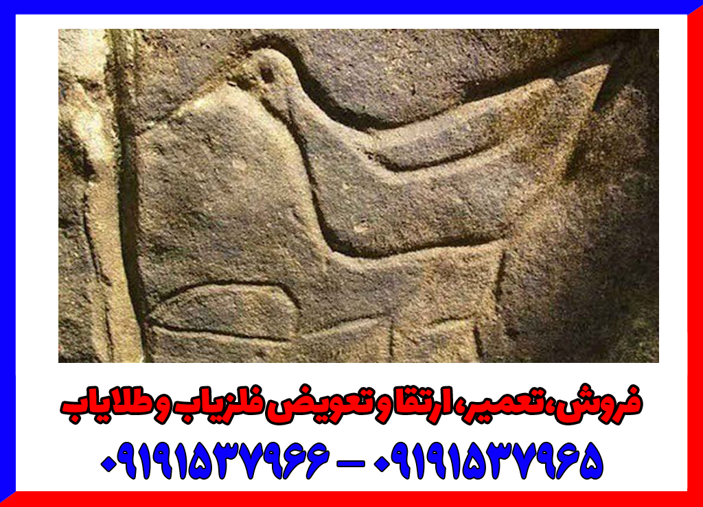 نماد اردک در دفینه یابی