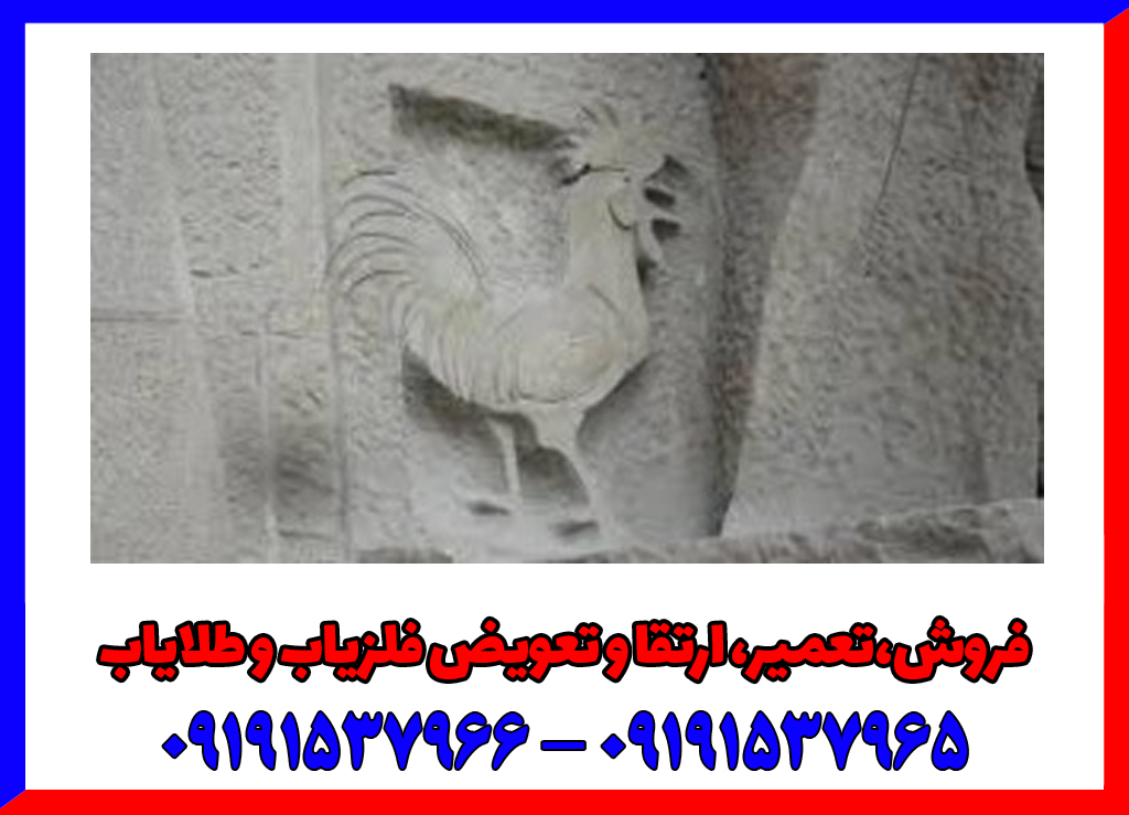 نماد خروس در دفینه یابی