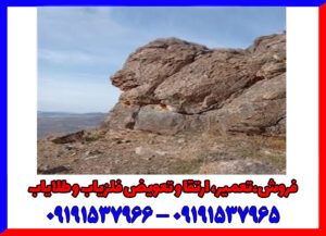 نماد شیر در دفینه یابی