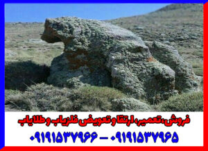 نماد خرس در دفینه یابی