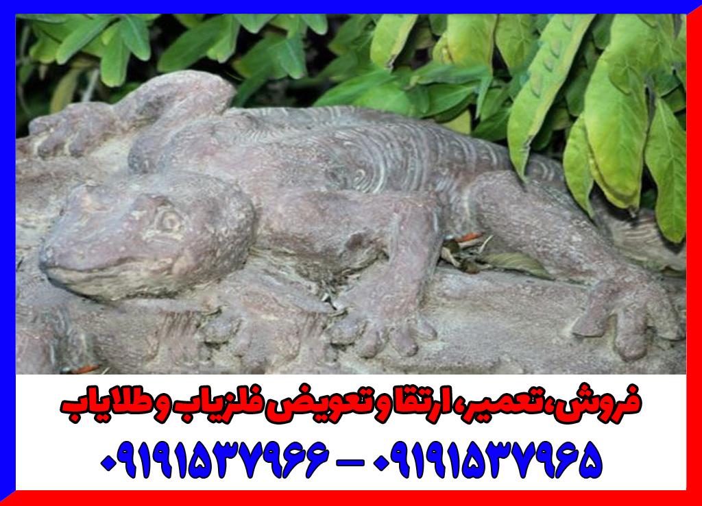 نماد آفتاب پرست در دفینه یابی نماد آفتاب پرست در دفینه یابی