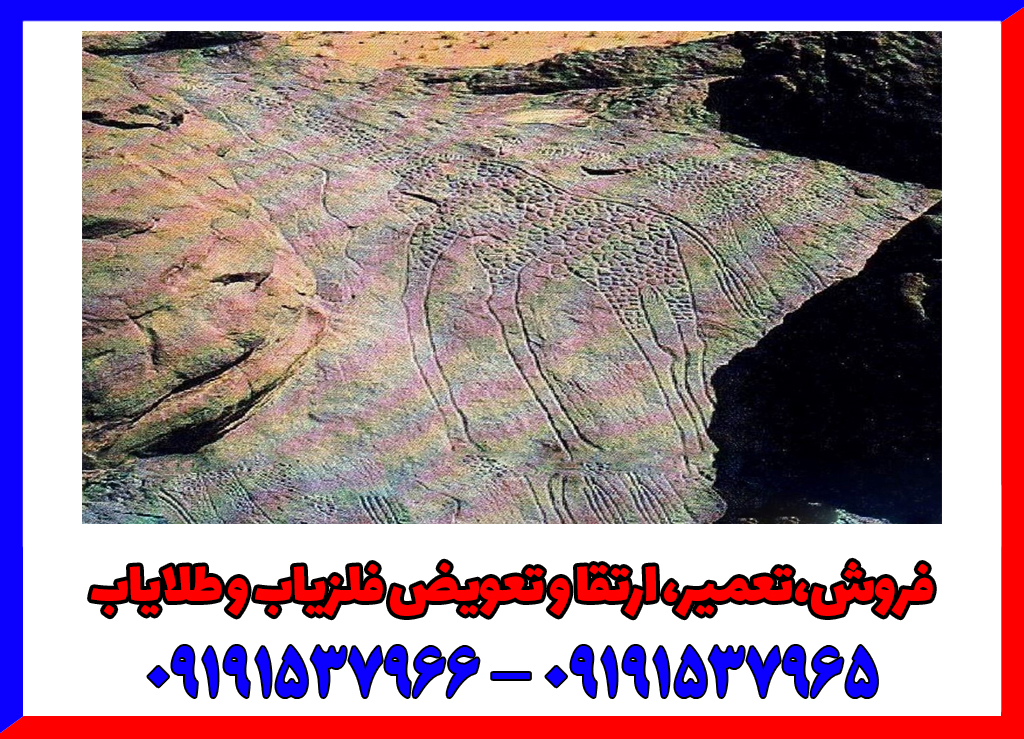 نماد زرافه در دفینه یابی