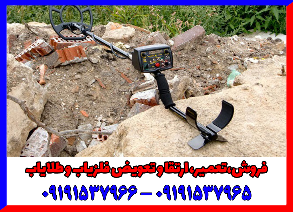 فلزیاب دامینیتور پرو