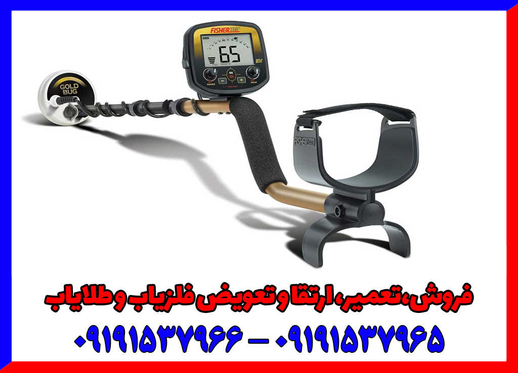 فلزیاب فیشر گولد باگ