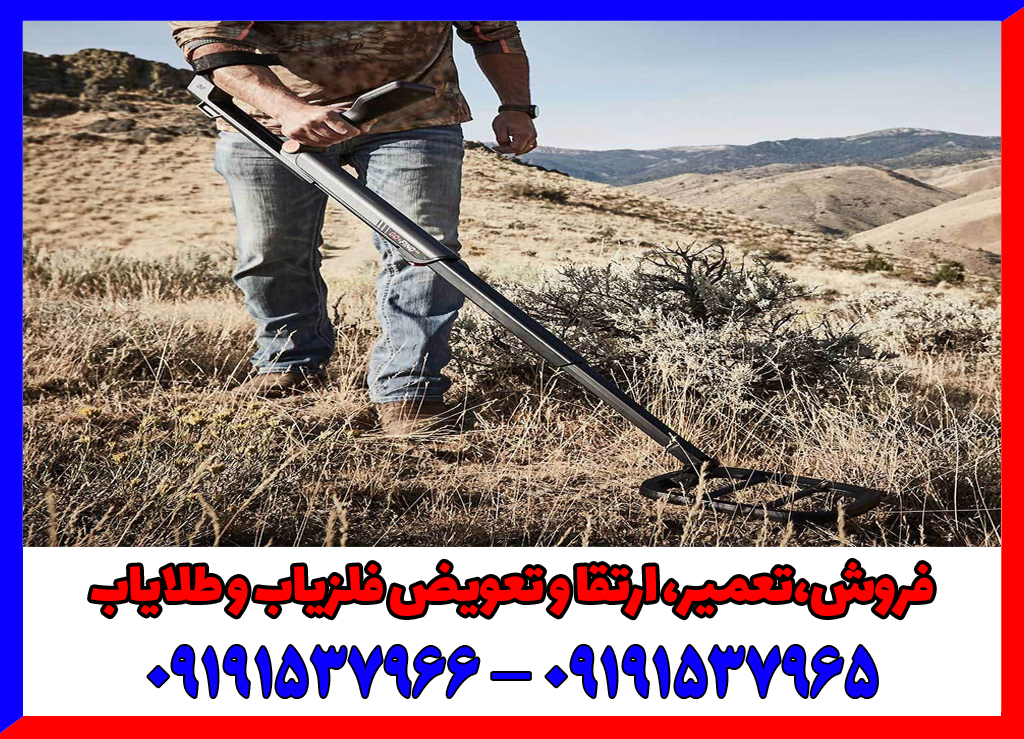 فلزیاب گو فایند 66